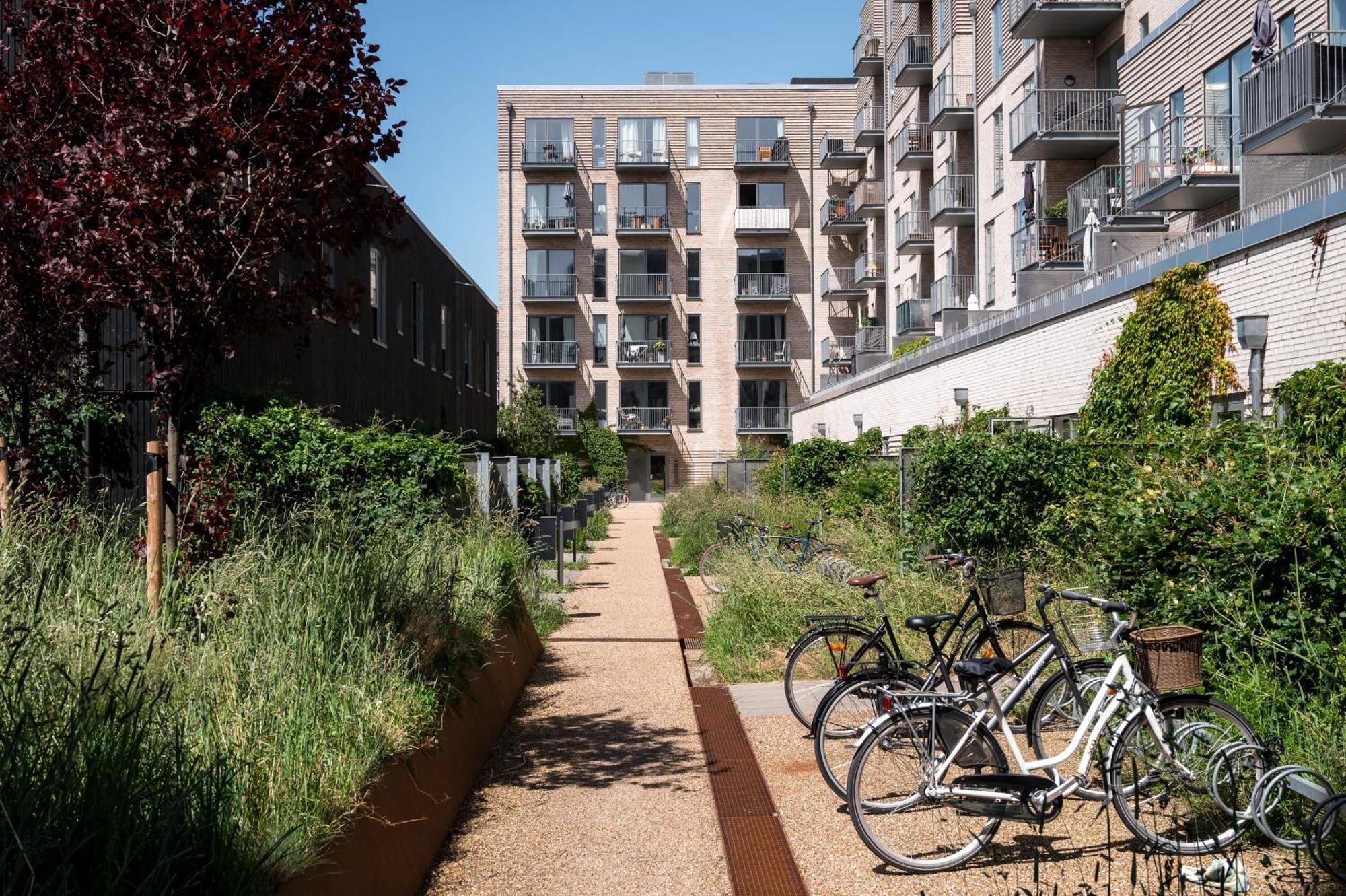 Beach Gardens 46 By Daniel&Jacob'S København Eksteriør bilde